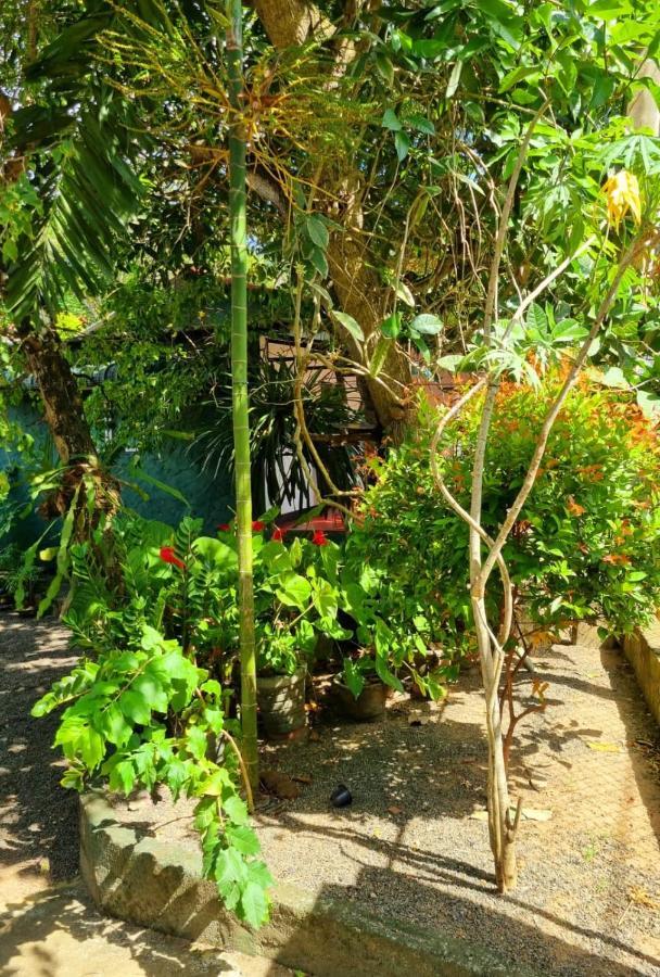 Helena Holiday Cottage Dikwella Esterno foto